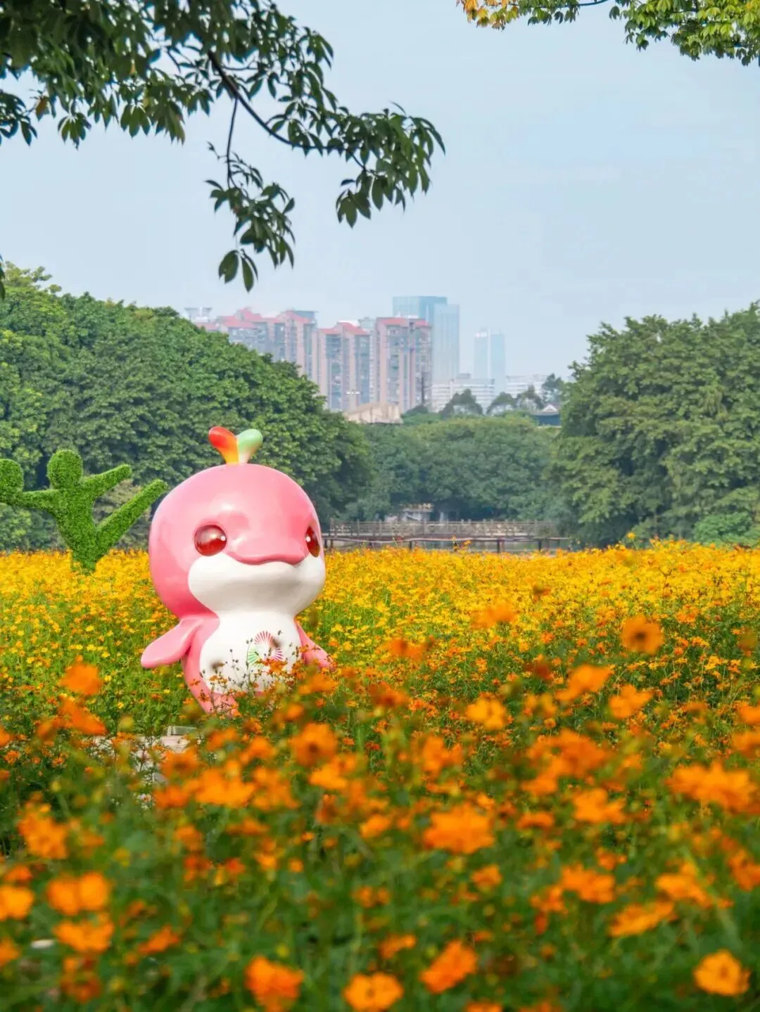 打卡“塔映花城”景区——2026年春节广州海珠湿地公园“迎春花展”侧记