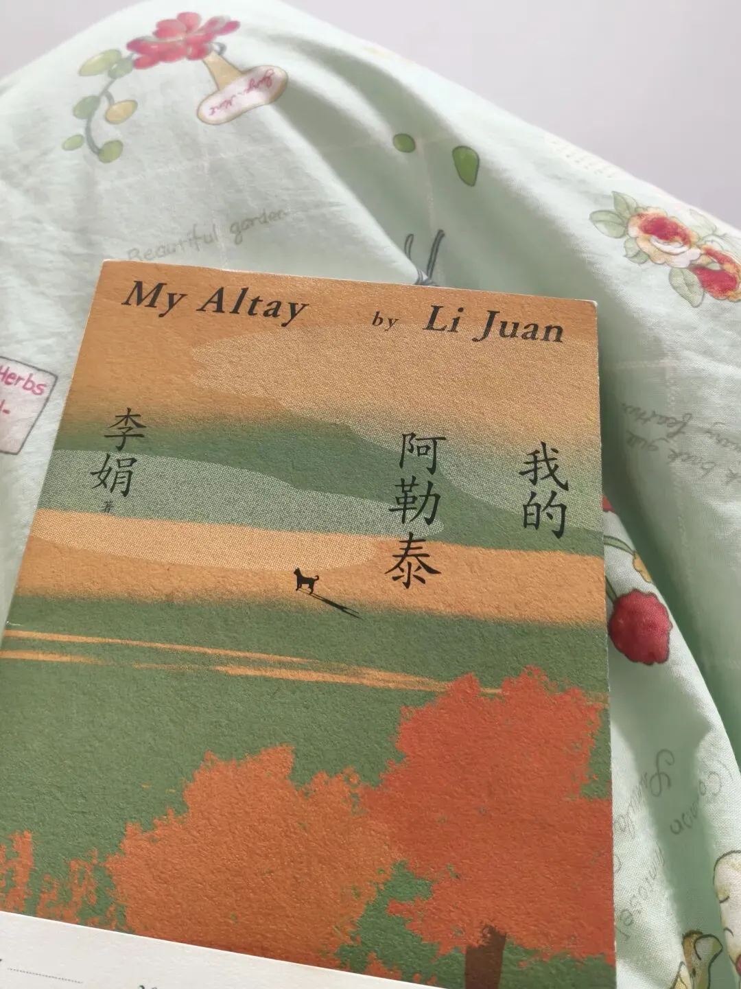 我的春节旅游:被窝 + 《我的阿勒泰》