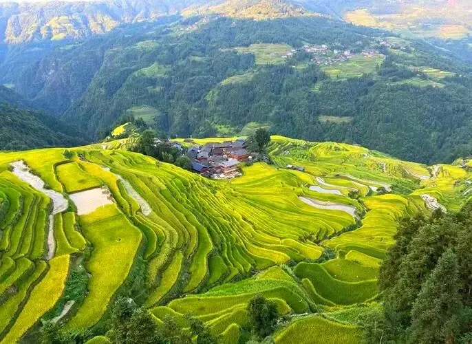 贵州加榜梯田把全国景区的饭碗给砸了