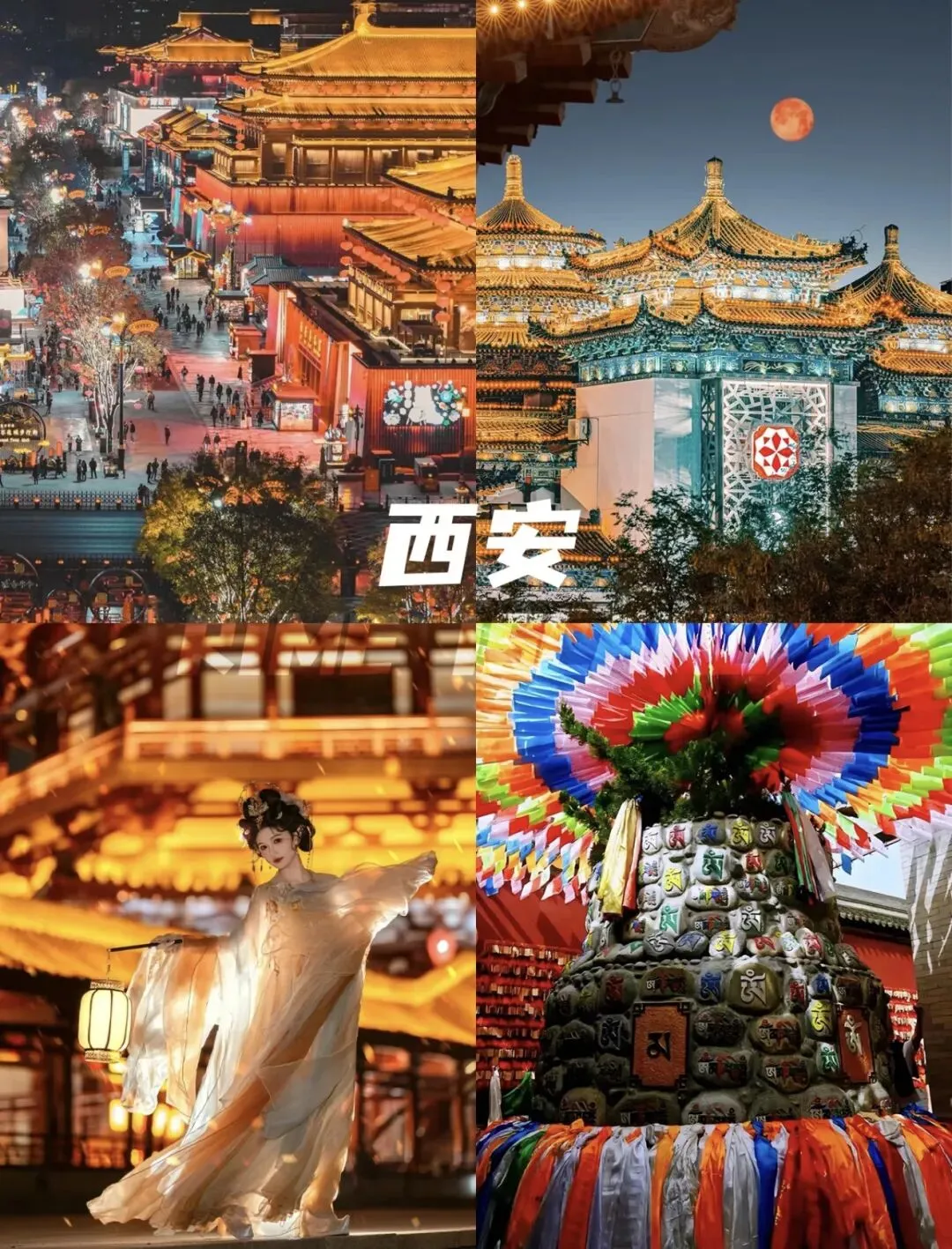 2026年春节假期全国景区旅游阶段性总结报告