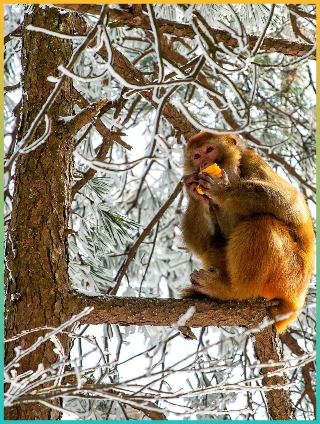 别去人挤人了!这5个小众景点2月下旬美出圈,随手一拍都是大片,朋友圈赢麻了!!