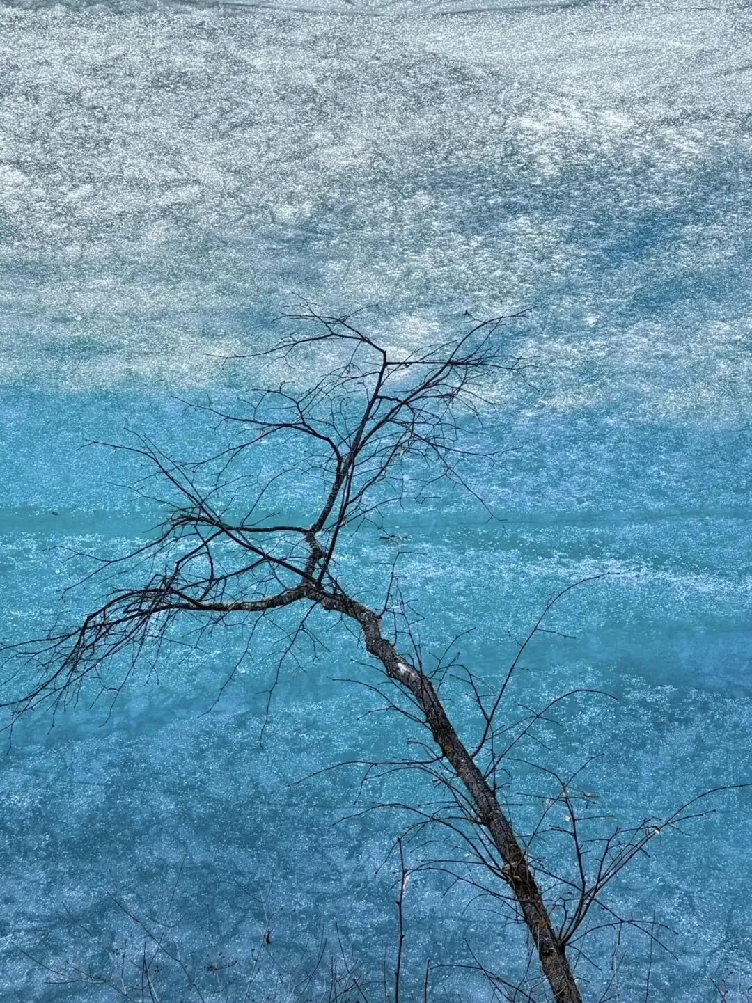 九寨沟旅游已回,我的血泪教训!!!