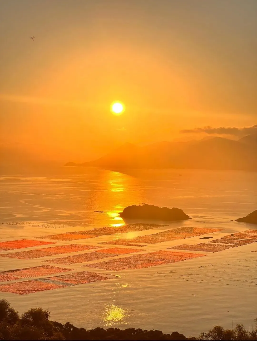 2026春节福建旅游火爆