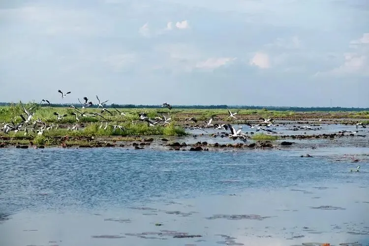 吉林向海自然保护区把全国景区的饭碗给砸了