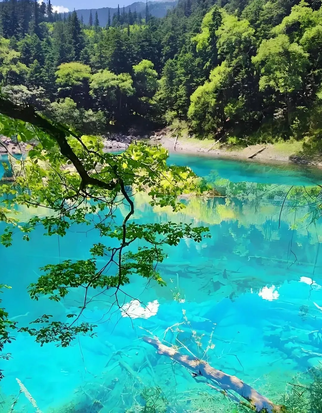 中国这7个“自然奇观”的景点,春节去过4个不简单,去过6个就太幸运了