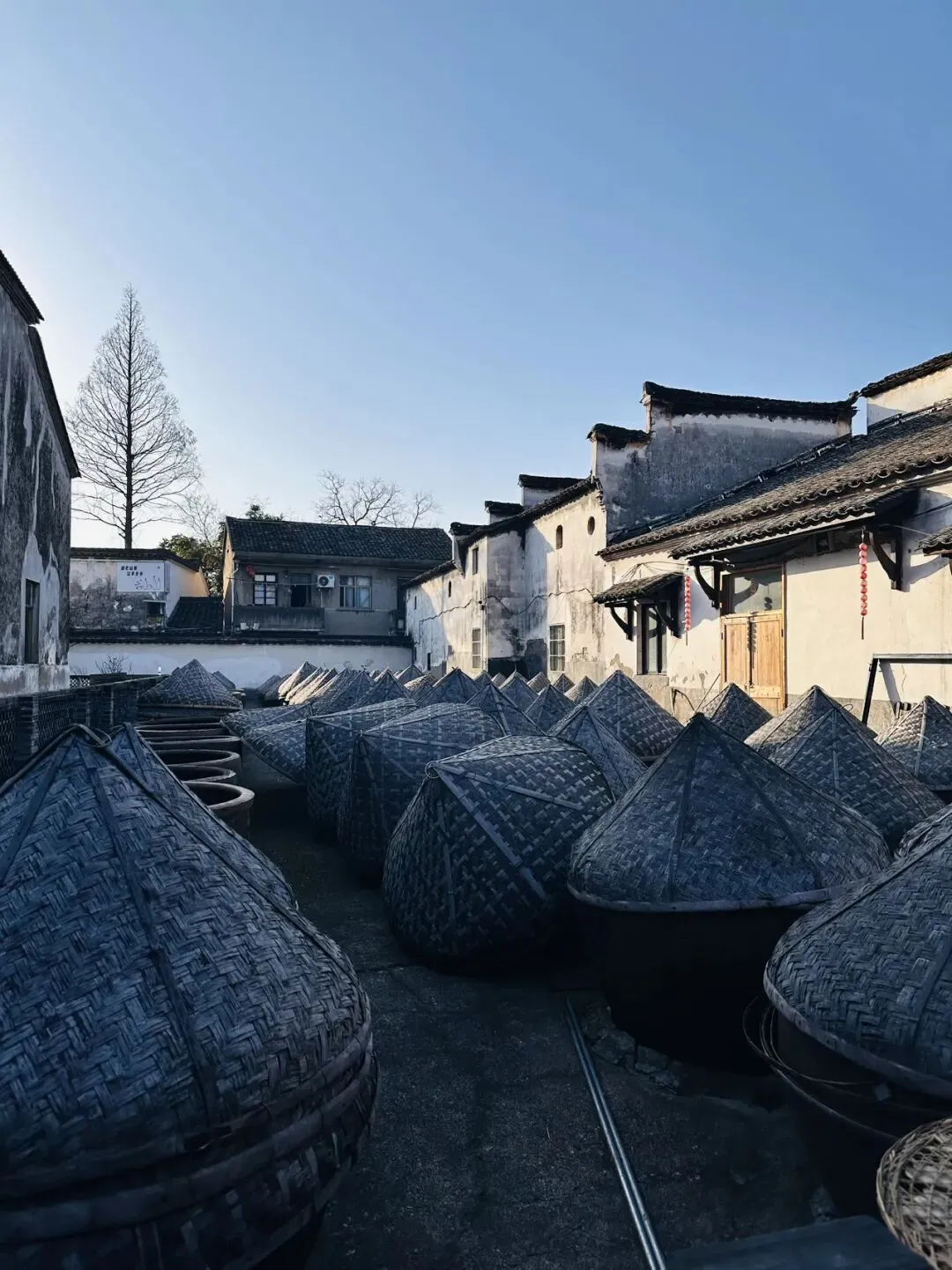 景区偶遇不是特别熟的男同事及其夫人