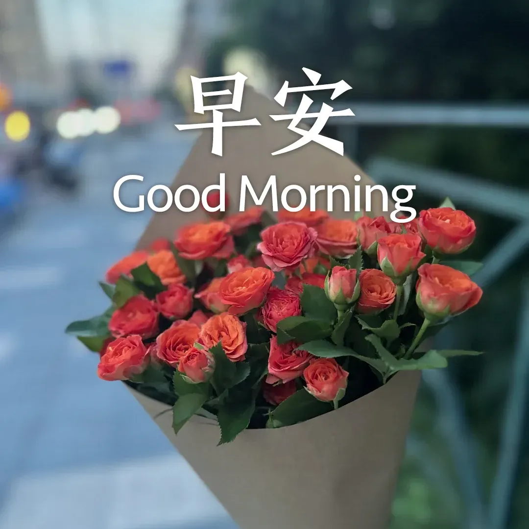 早安图片 旅游浪漫配图