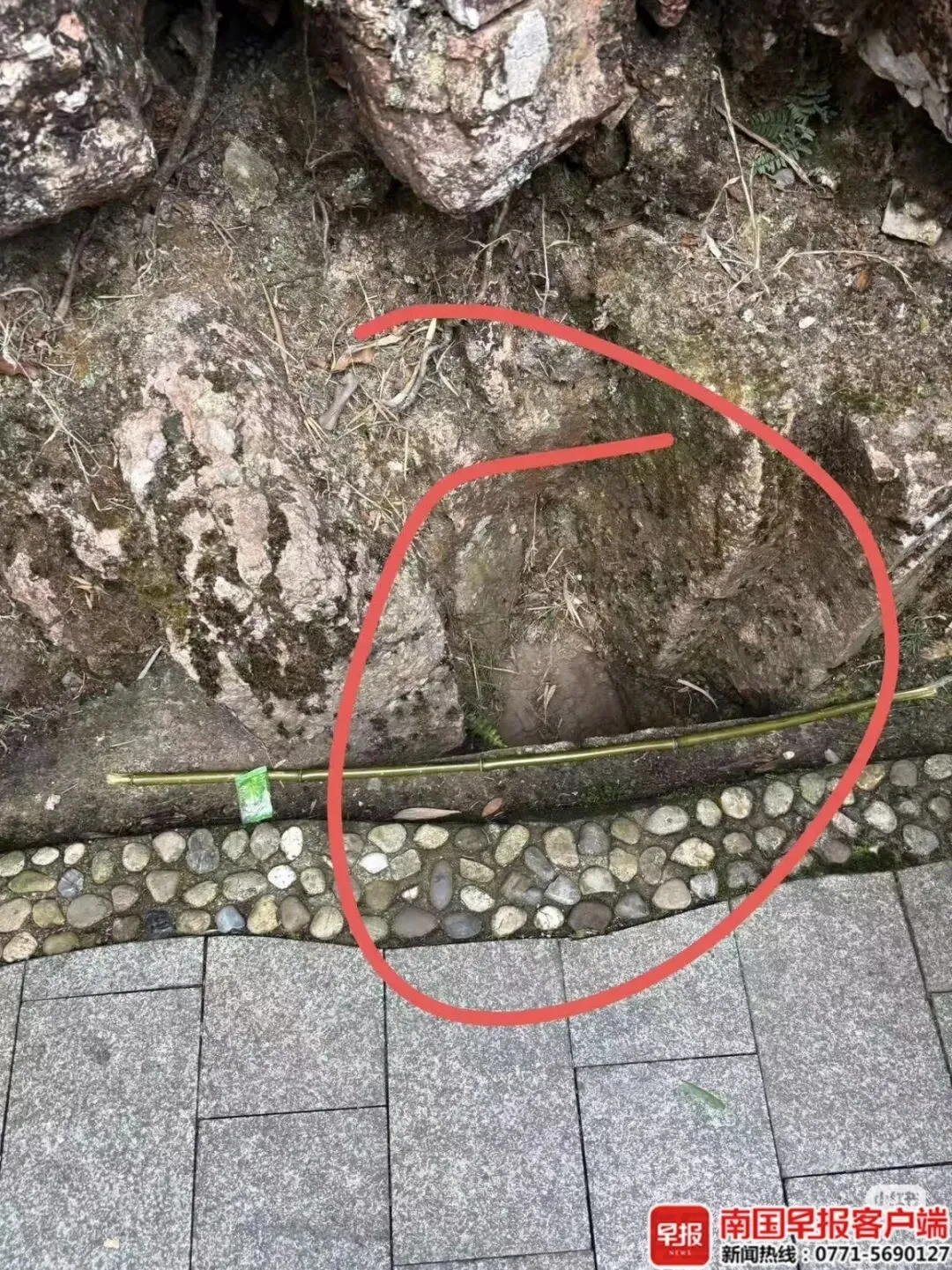 2月19日,广西贵港平南北帝山景区发生一起坠崖事故,一名10岁男孩不慎从栈道与山体间的一处空洞坠落,跌至数百米深的崖下.