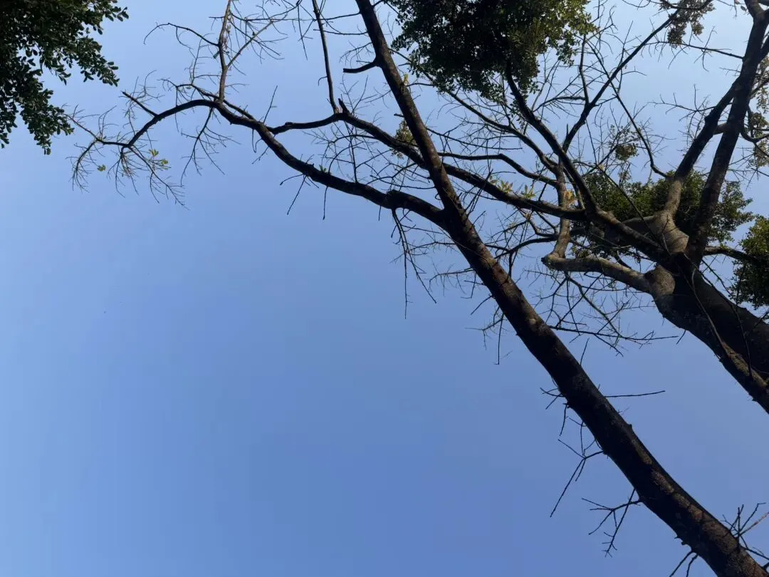 世上最煎熬的队,不是景区长队,是厕所长队