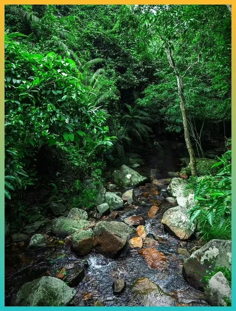 2月份去海南旅游,别只知道三亚!这6个小众地方更美更清净!!