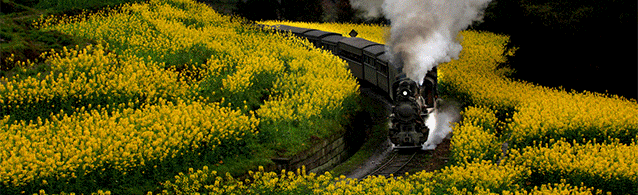 坚守暖嘉阳 | 景区春节幕后故事