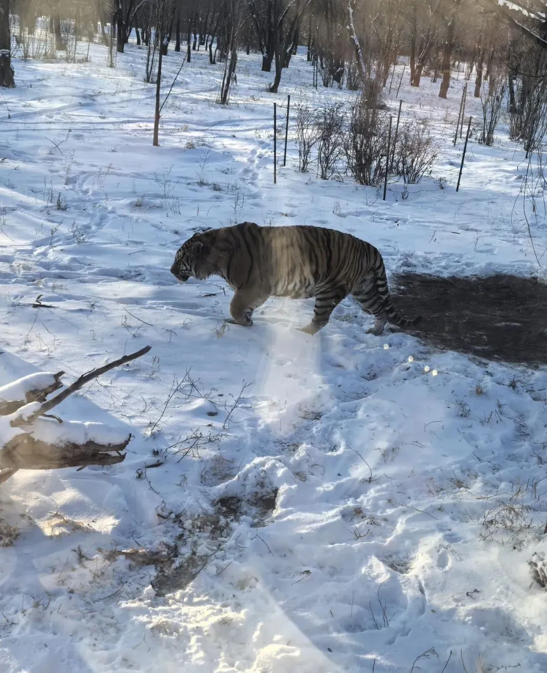 哈尔滨旅游打卡新地标