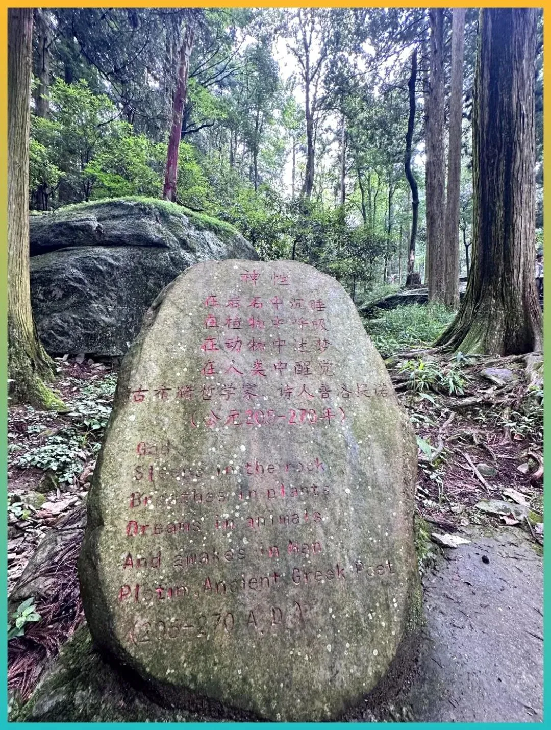 旅居一个月和旅游三天,哪个更值?去过这6座城市长住的人都说,当然是旅居!