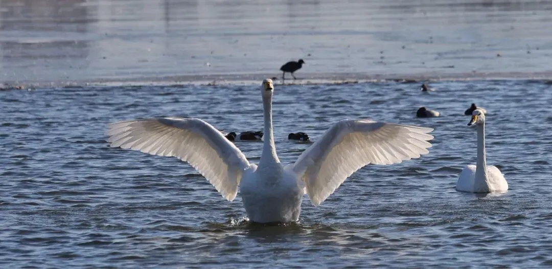 镜头从不撒谎:全国景区的“摆拍化”,正在扼杀摄影人的远方