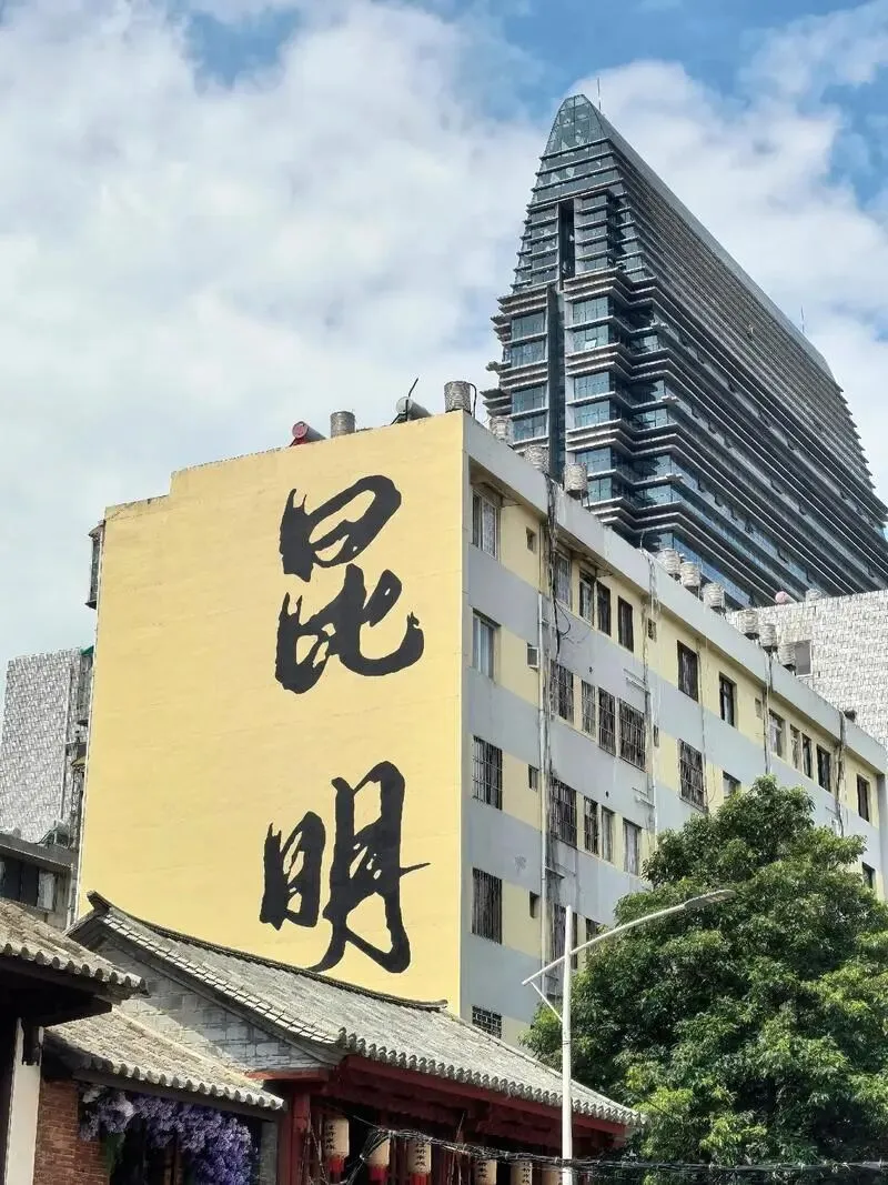 昆明:把全国景区饭碗砸漏了,是这四季如春的春城过年