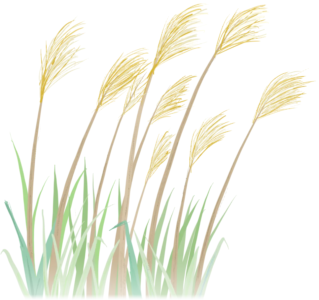 【安全提示】《景区古建安全》