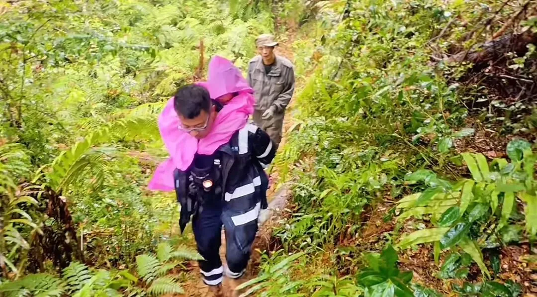 福建9岁女童在景区走失22小时后平安寻回:警犬嗅到了女童的气味,在深山草丛里发现
