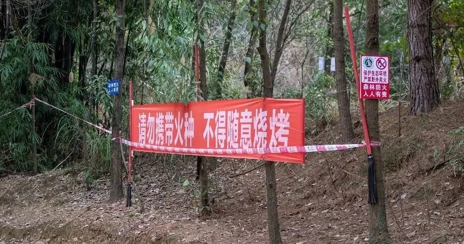 踏春出游正当时,景区防火莫大意