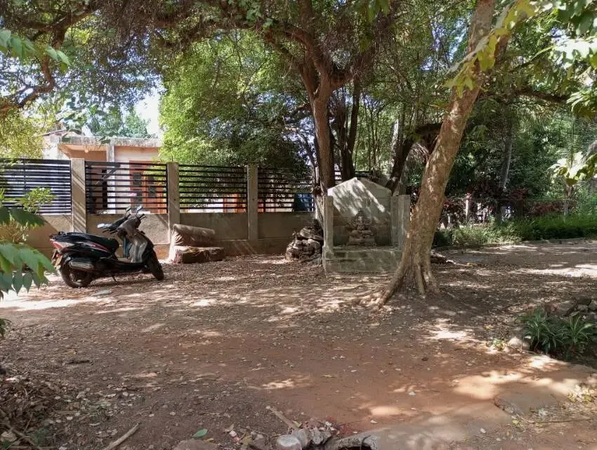 为什么出去旅游的人,很多喜欢听歌?