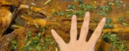 河北石家庄一景区猴子被反绑前肢,头罩黑布表演,网友投诉其虐待动物,回应