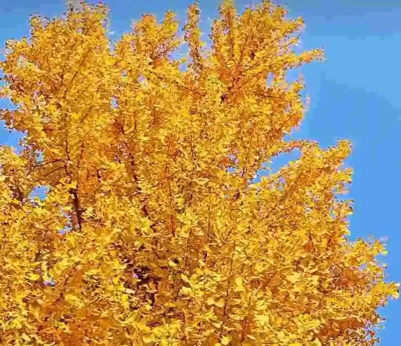 60岁前,一定要去的中国这3个5A景区,去过1个便觉值得被记一辈子