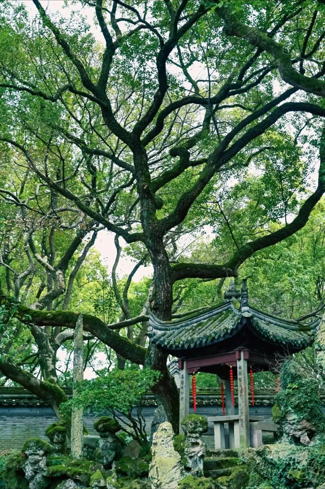 天一阁博物馆景区门票购买预约,用浙江旅游年卡,去天一阁不用买门票了