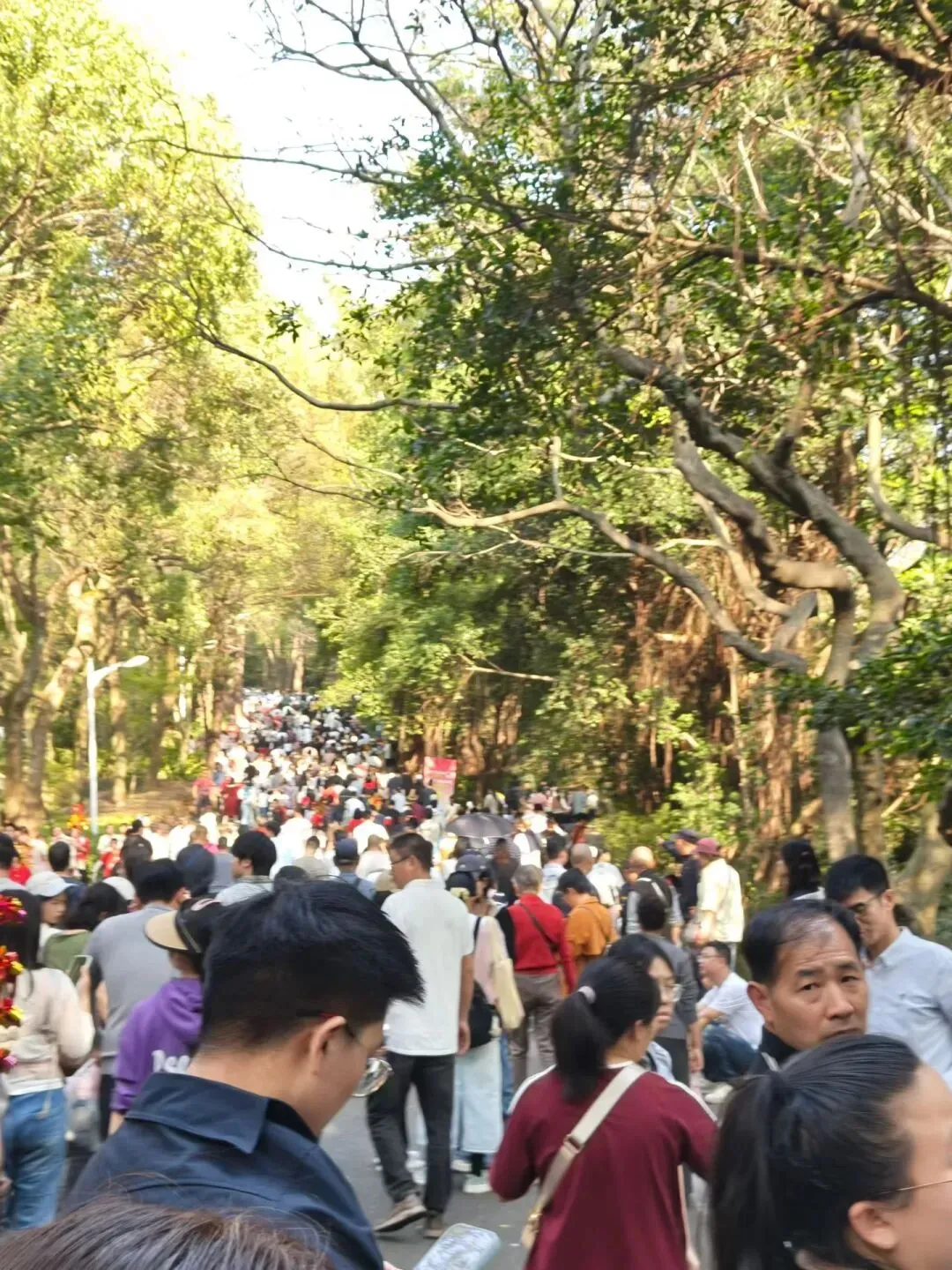 佛山南海 ∣ 避开景区,开车20分钟让我挖到宝藏餐厅了!