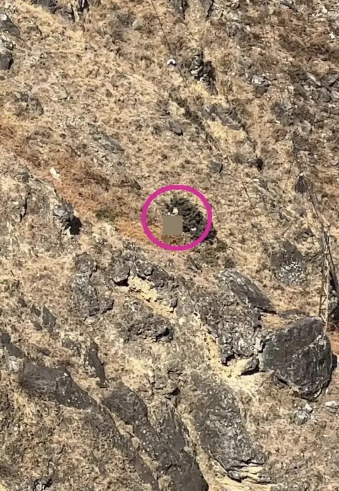 8岁男童虎跳峡坠亡:别让“野景点”的诱惑,变成生命的代价