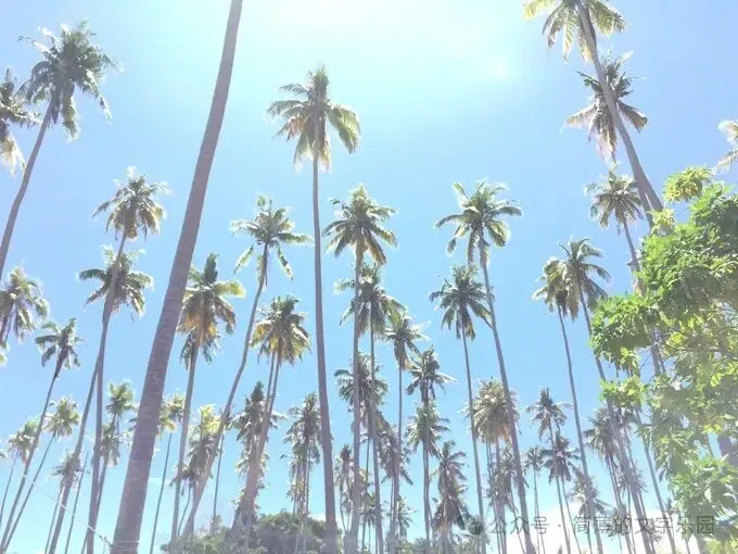 《赴马来西亚旅游》