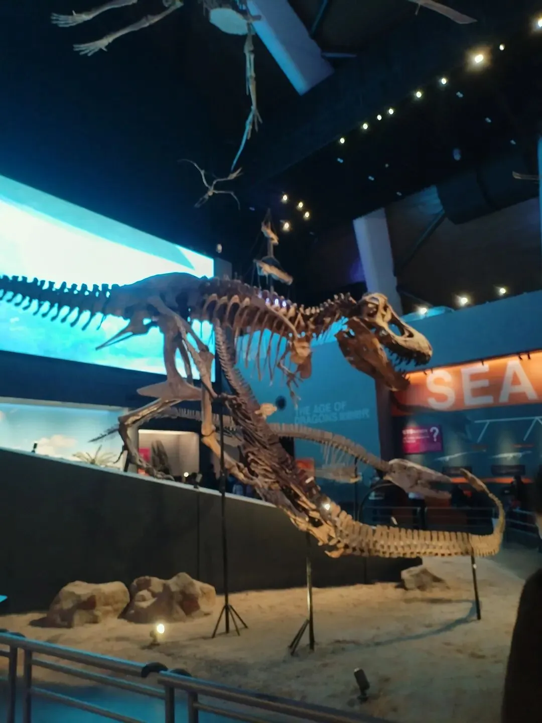 天津国家海洋博物馆一日游旅游攻略