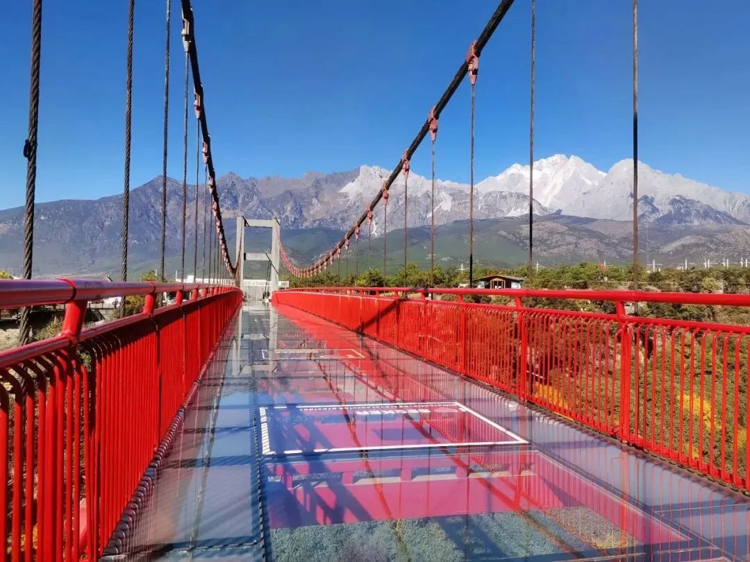 AI推荐的网红景点,我花8000去了现场,看到的全是垃圾和骗局