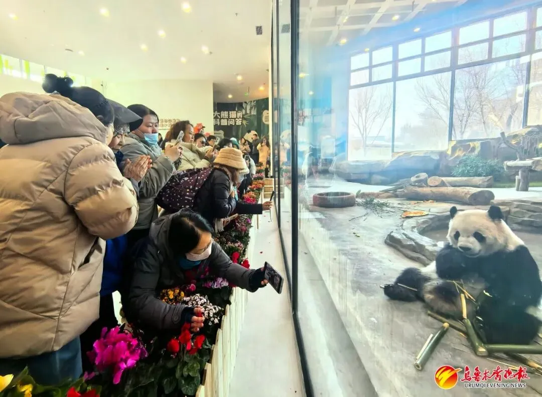 乌鲁木齐水上乐园·欢乐世界冲进新疆景区热度TOP2,全靠这两位“顶流”!