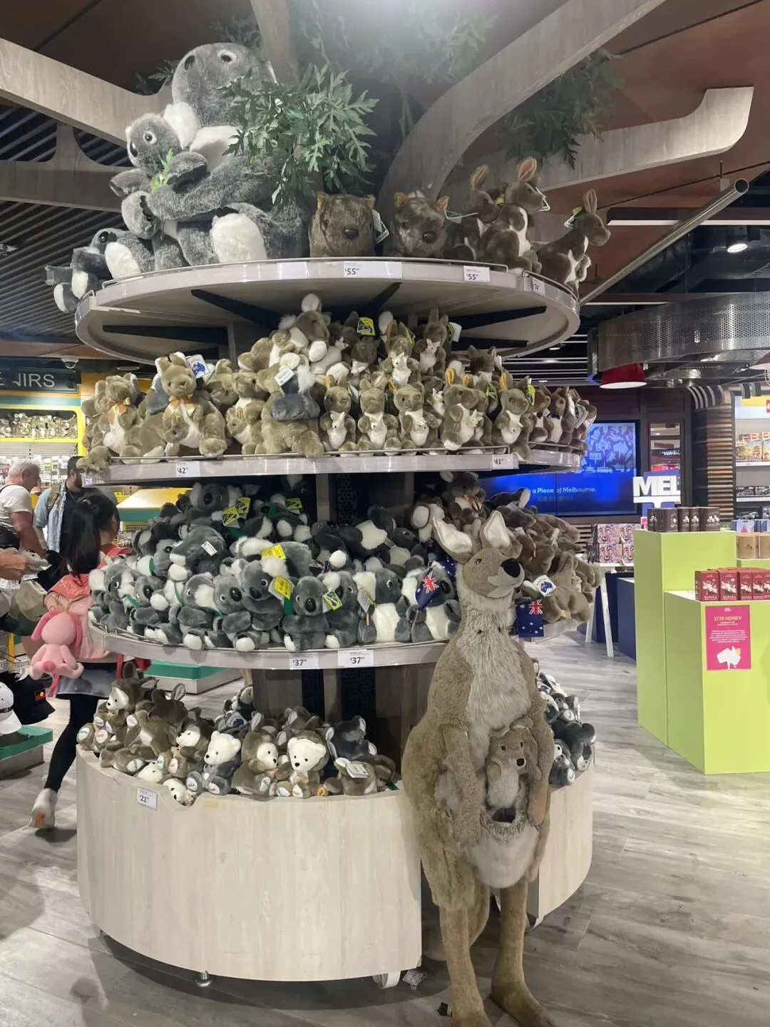 澳洲旅游回来,看看我都买了什么礼物?