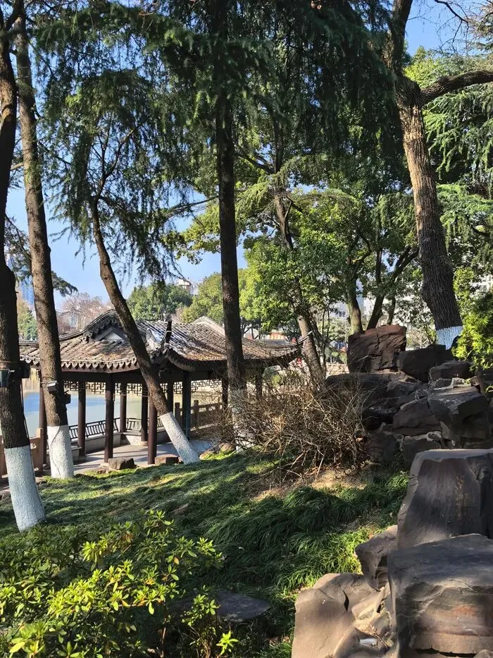 高舜礼:景区晋升5A后变亏了,该当如何?