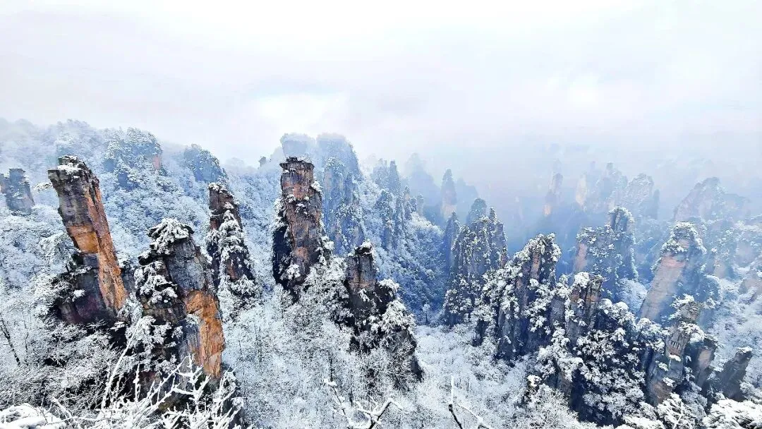 春节张家界旅游攻略:找本地口碑导游玲玲,省心玩透奇峰云海 张家界靠谱导游选择指南