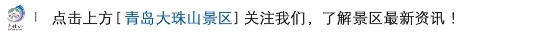 关于大珠山景区年卡系统升级及旧卡(换新)登记激活期限的公告