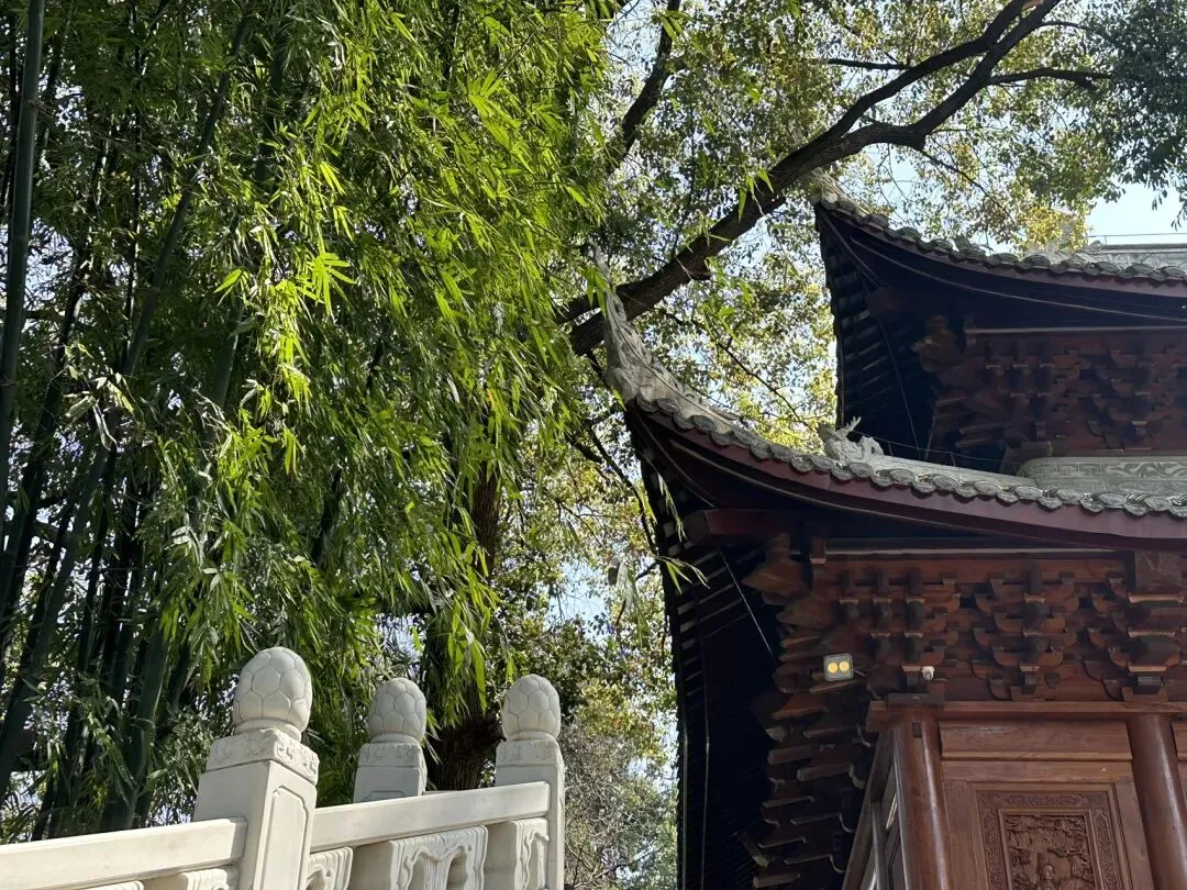 气、场——记乐山大佛景区甘露堂