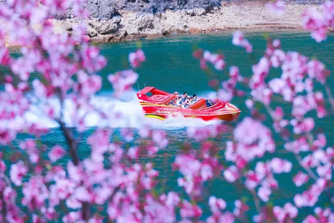 快出发,河南这些景点免门票了!!!