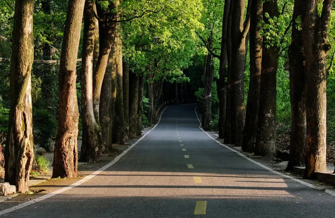 和贝贝一起与北碚的景点见一面吧!