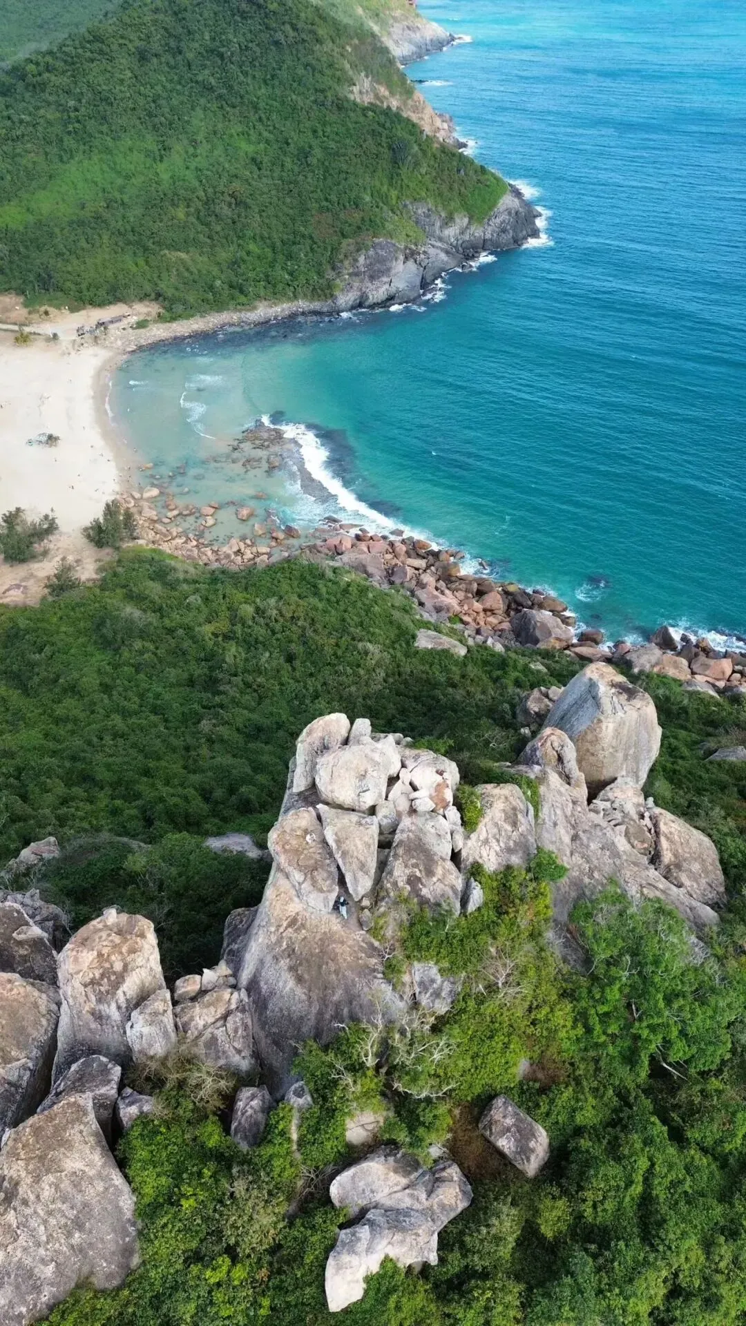 三亚旅游市场2024年与2025年整体接待情况对比分析