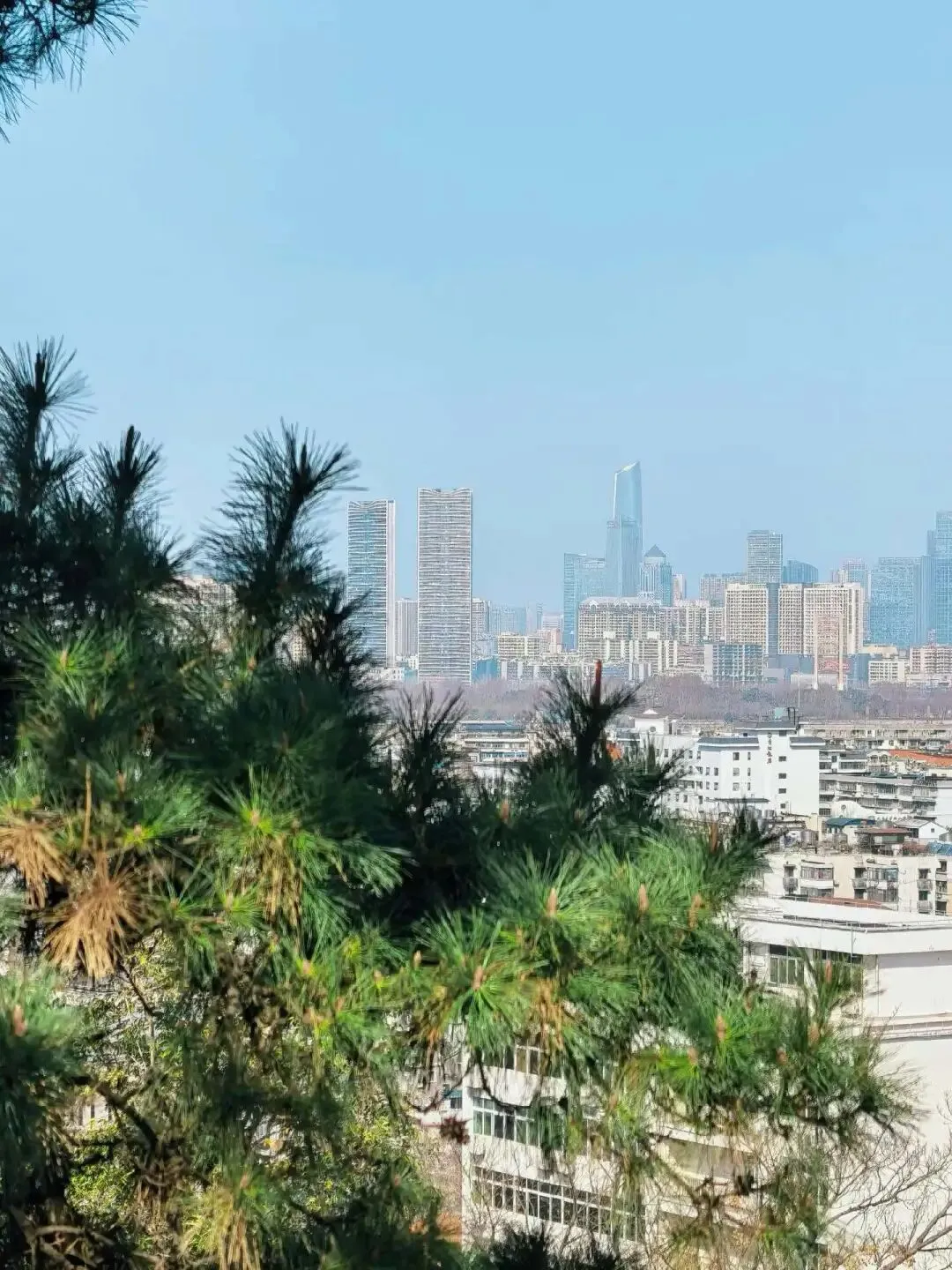 春节困在旅游区想到的