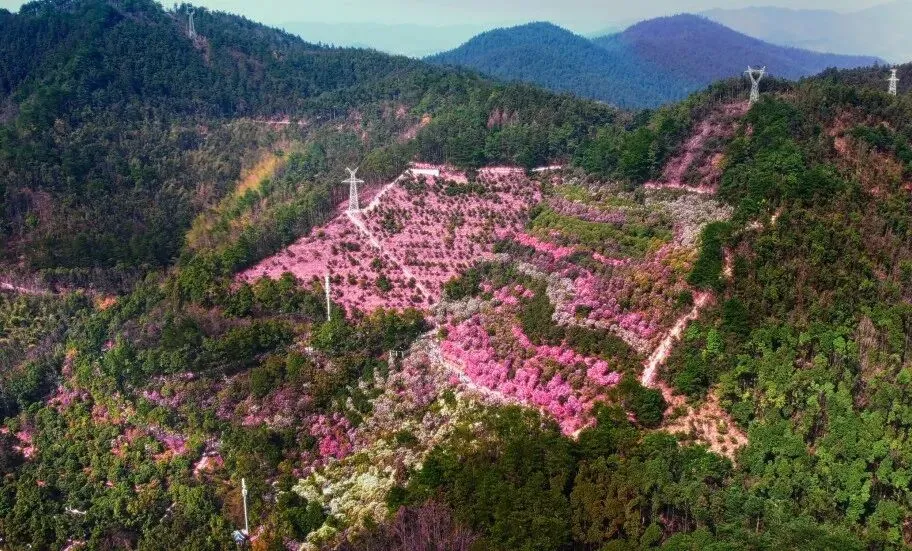 湖南春节生态旅游市场“马”力全开