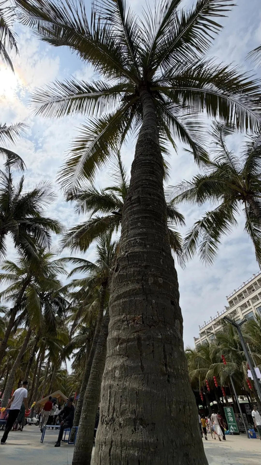 海陵岛20个免费景点全攻略