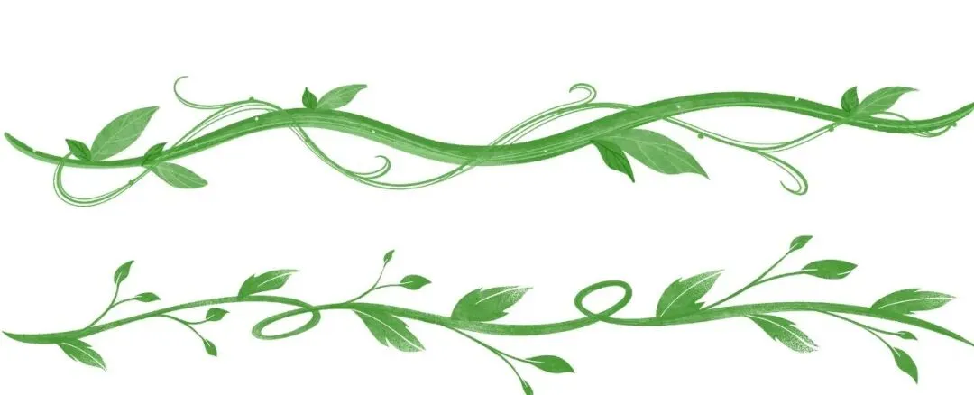 山东烟台111-曹姊妹-自由职业-喜欢旅游也可以很宅