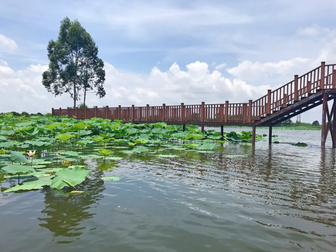 vol.118·广东·江门·鹤山市十大旅游景点