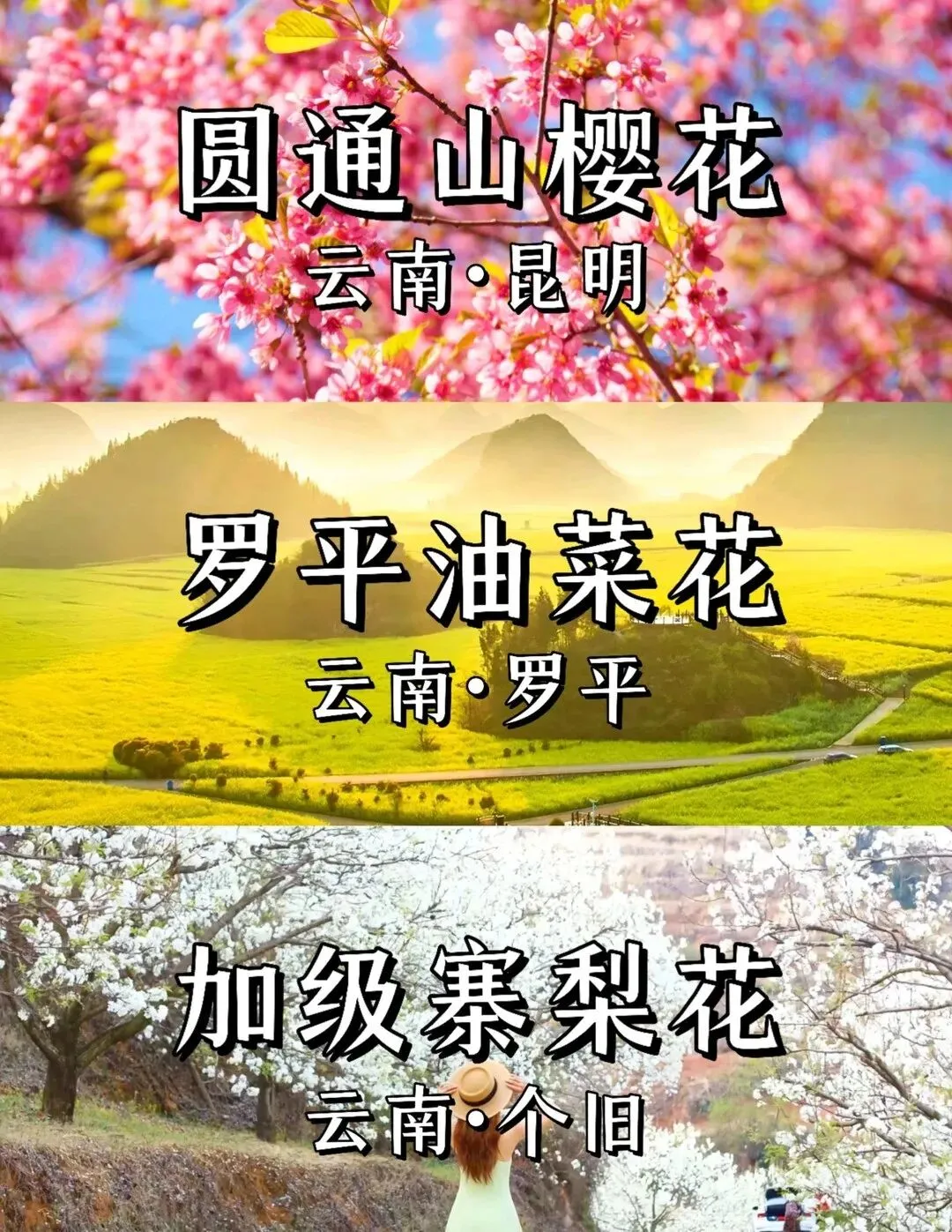 3月去云南旅游千万别盲目冲!!血泪整理了这份保姆级避坑攻略!!码住不亏~