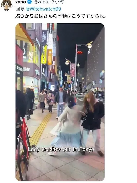 日本网民:中国台湾小女孩在日本旅游时被日本大妈狠狠撞倒