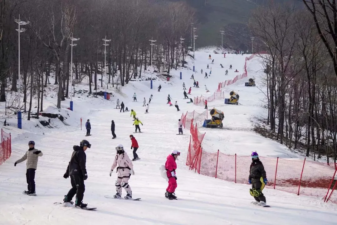 【巾帼话江城】吉林市冰雪旅游爆红!两大雪场接待量均破百万,稳坐“滑雪天堂”宝座