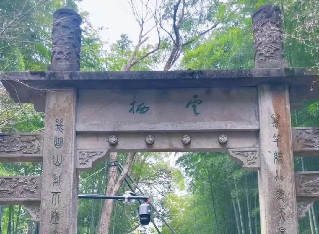 杭州旅游记—被云栖竹径溪水与绿意治愈了