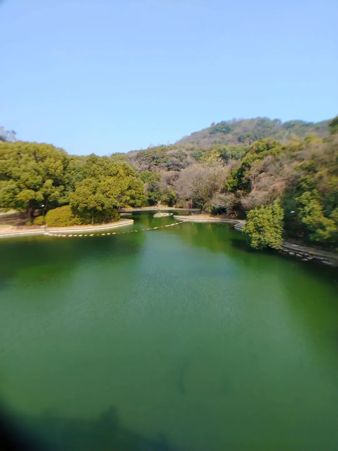 柯岩景区新春游记